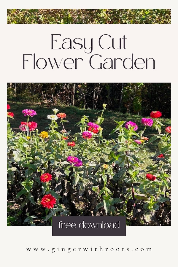 easy cut flower garden