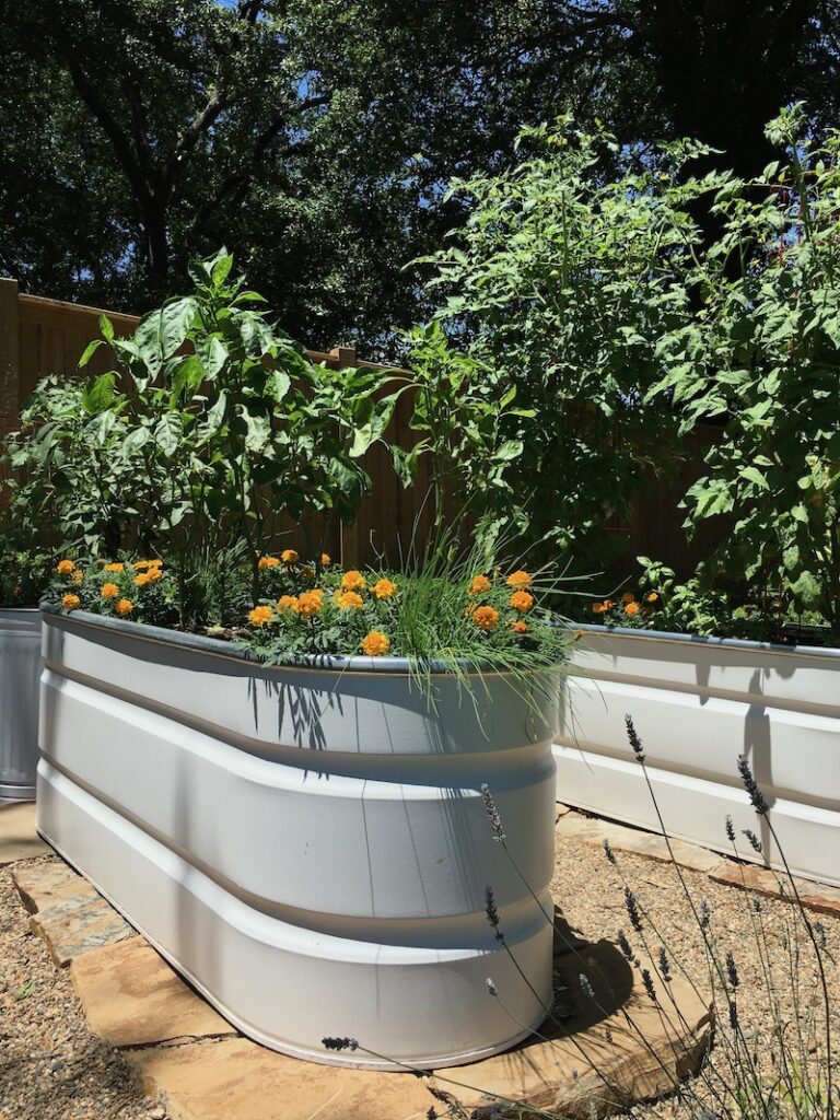 galvanized stock tank planter