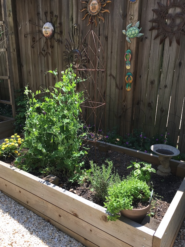 wooden raised bed