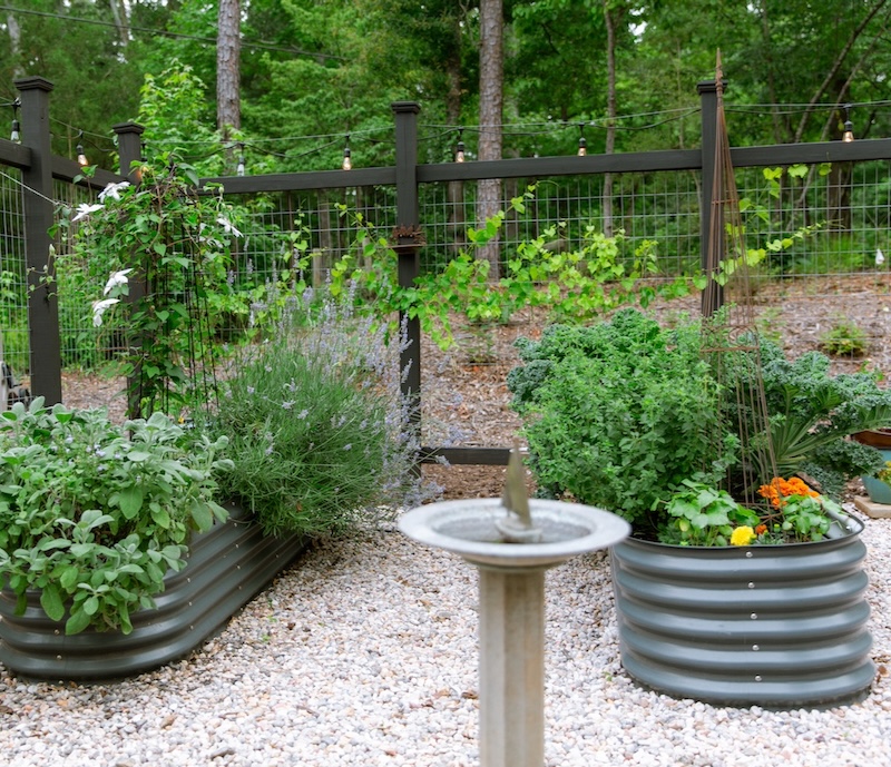 successful kitchen garden
