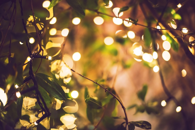 moon garden lights
