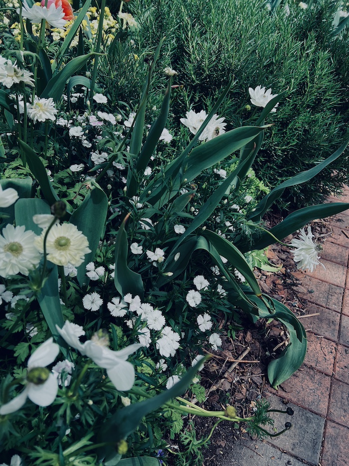 moon garden path