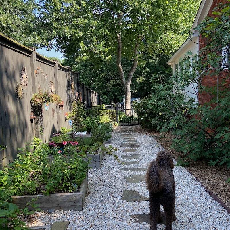 side yard kitchen garden