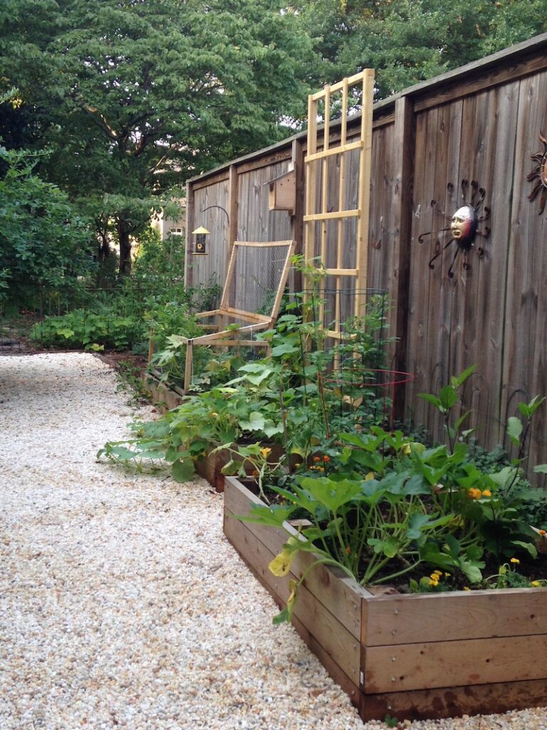 raised beds