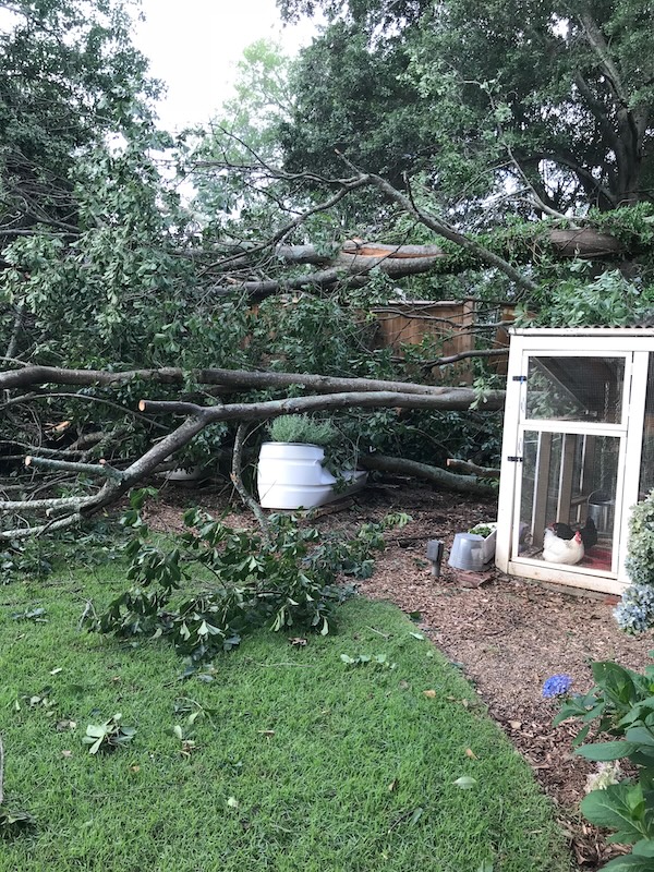 tree crushed stock tank