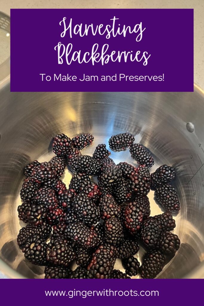 Blackberry Jam pin