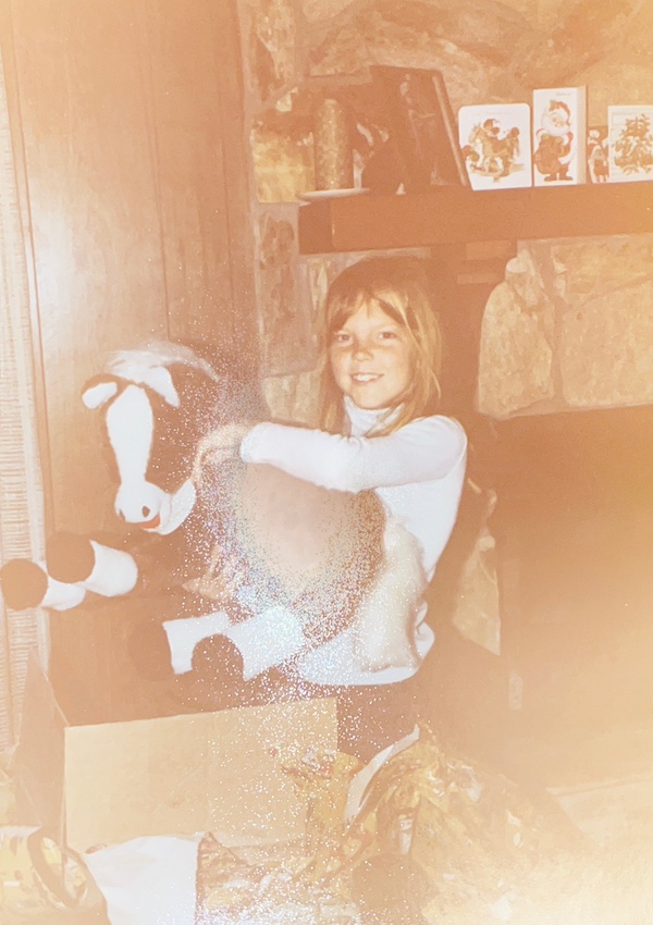 my Christmas horse