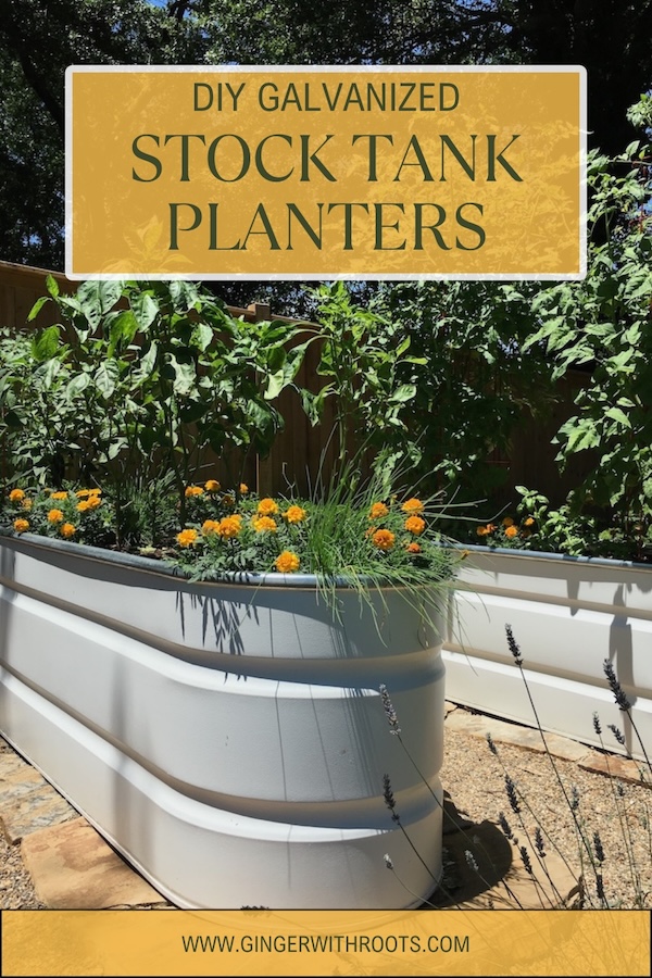 diy galvanized stock tank planter