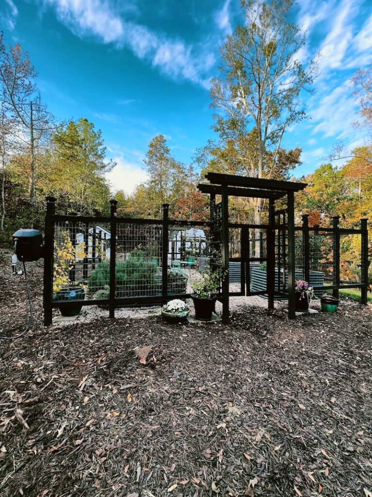 garden back