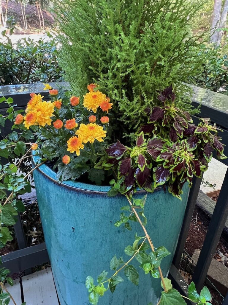 fall planter after