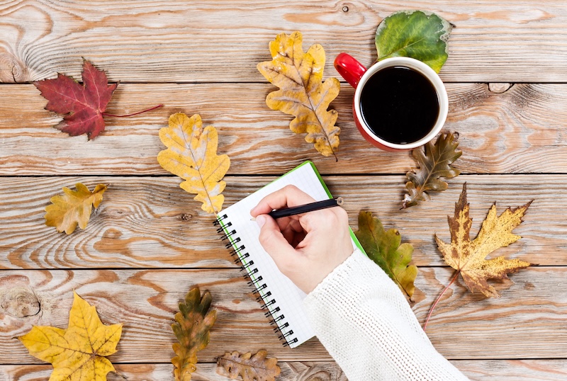 autumn colors flat lay