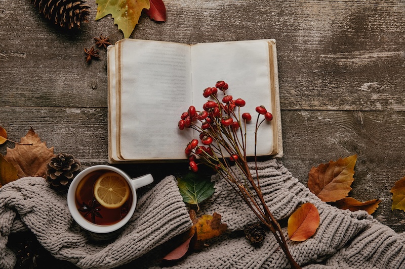 autumn flat lay