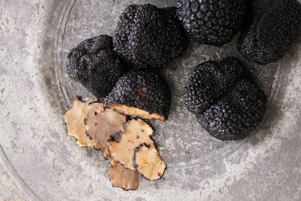 black truffle mushroom