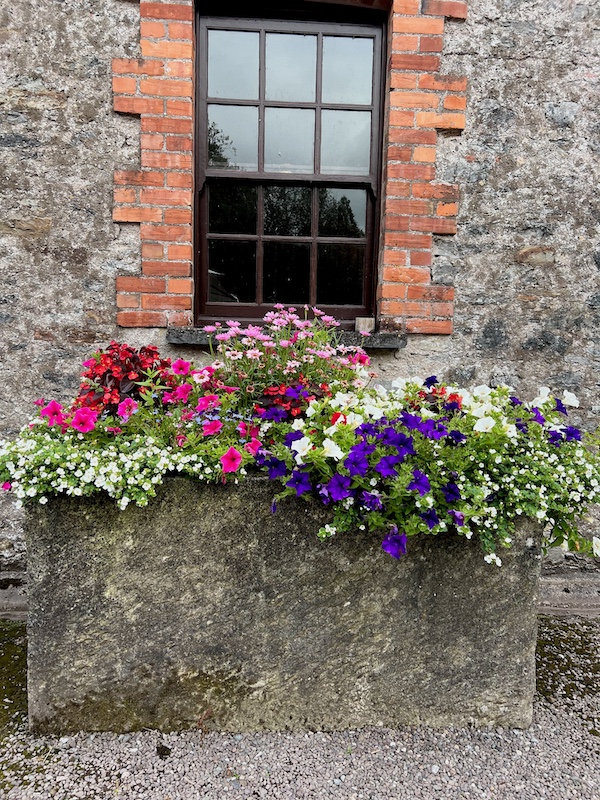 brick window box ireland container garden
