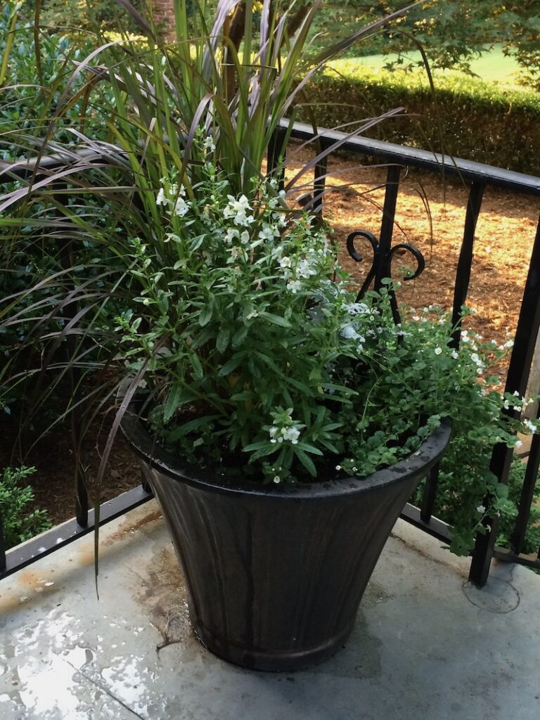 bronze planter