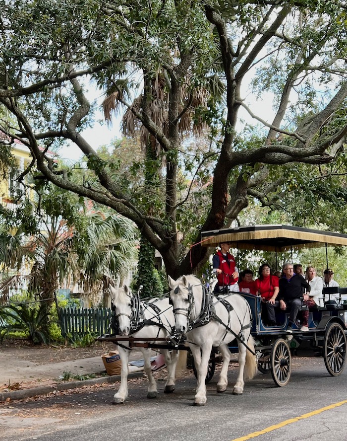 Charleston horse carriage