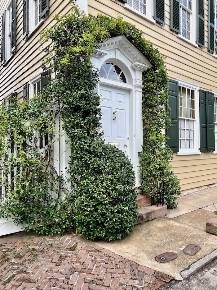 jasmine doorway