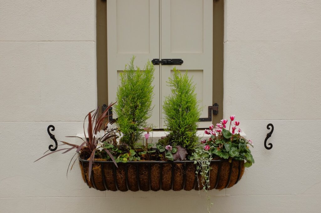 closed window box