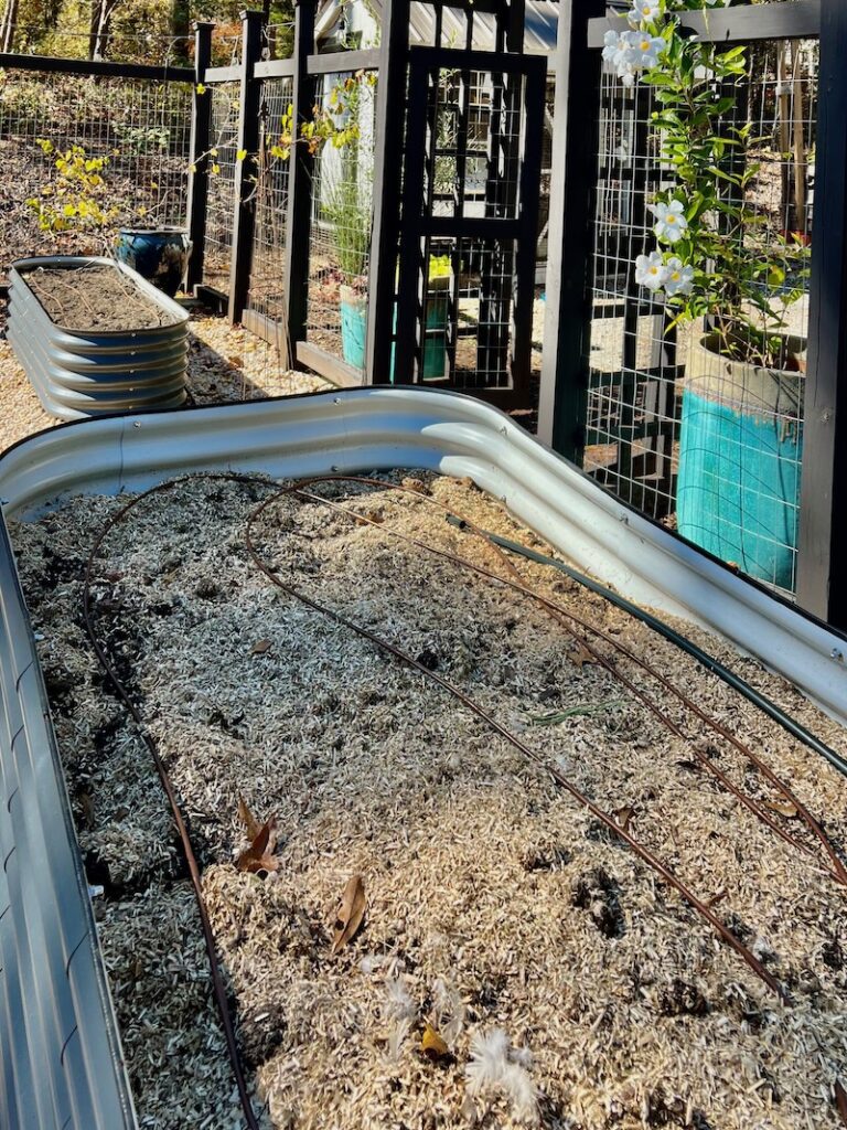 compost vego bed