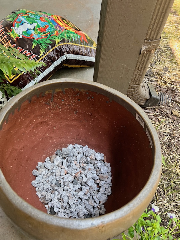 container plants rocks