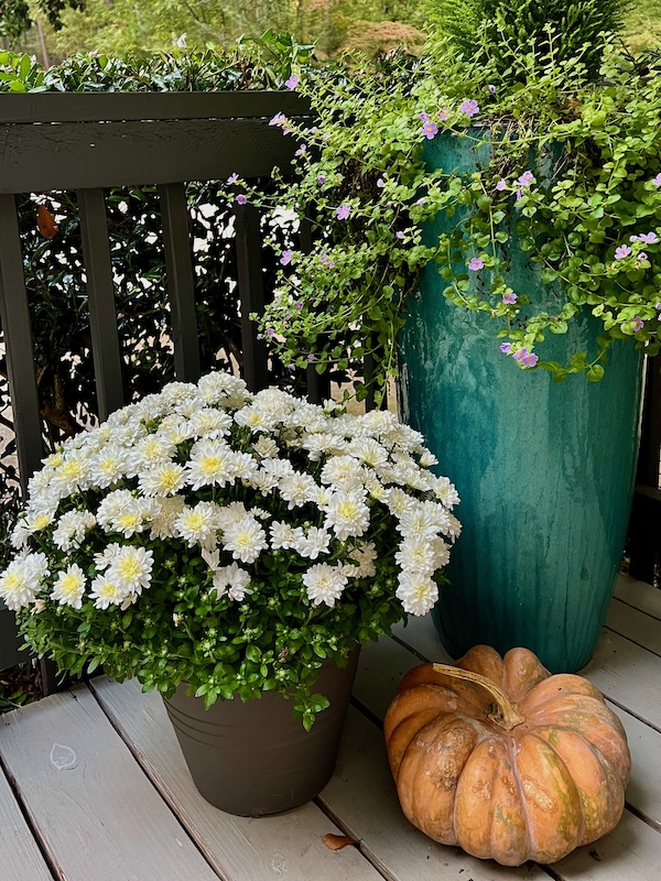 fall planter