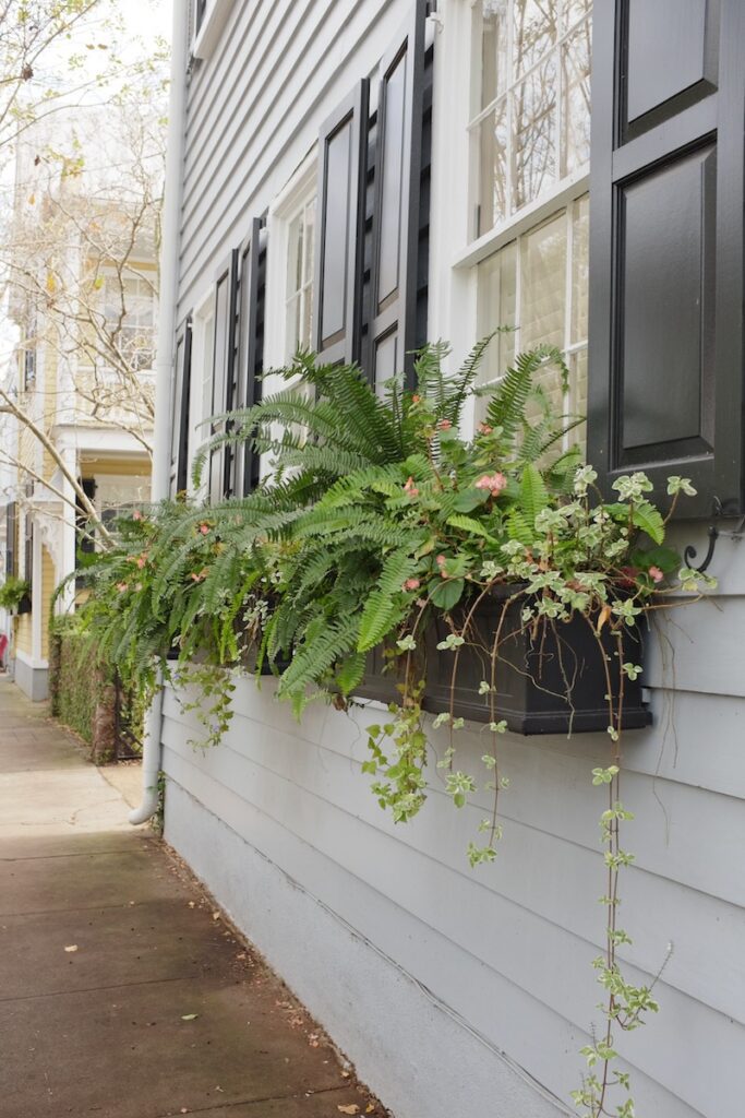 grey Charleston single window box
