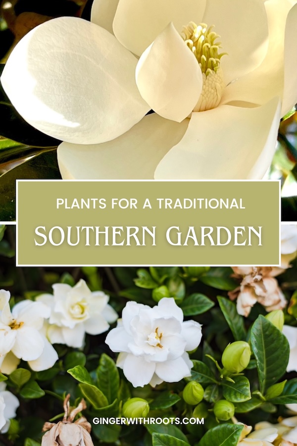 iconic southern plants pin