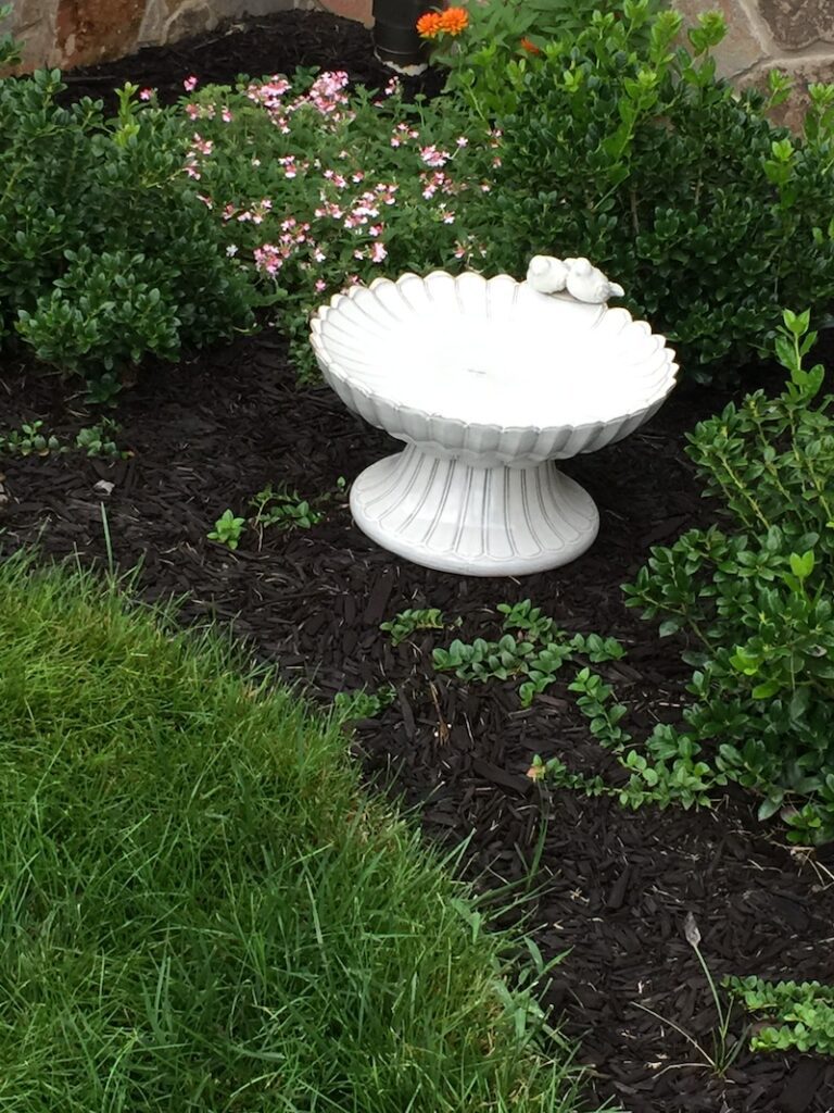 bird bath