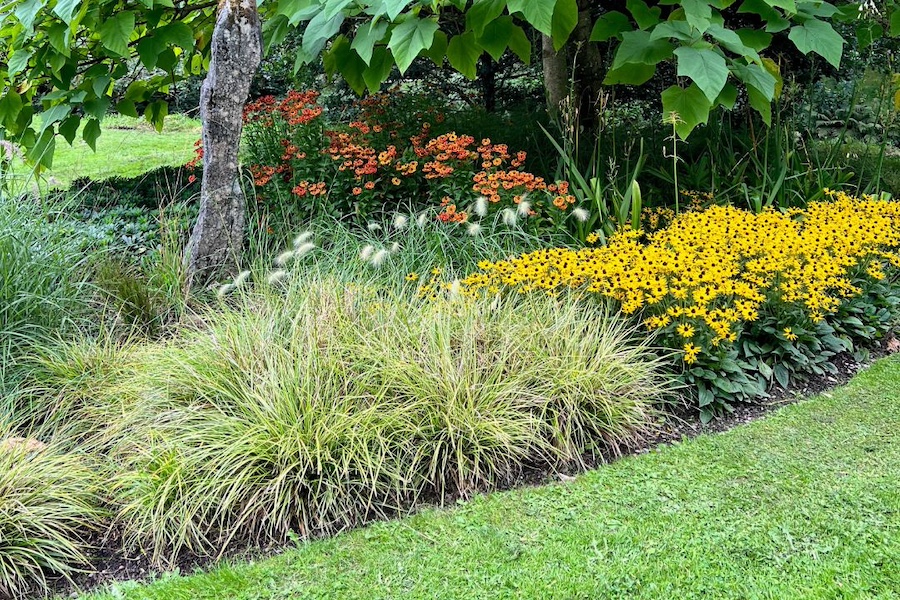perennial bed