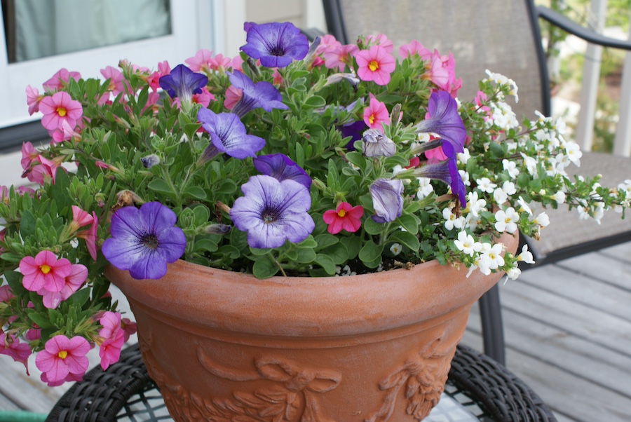 spring into summer container