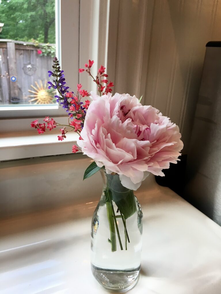 pink peony
