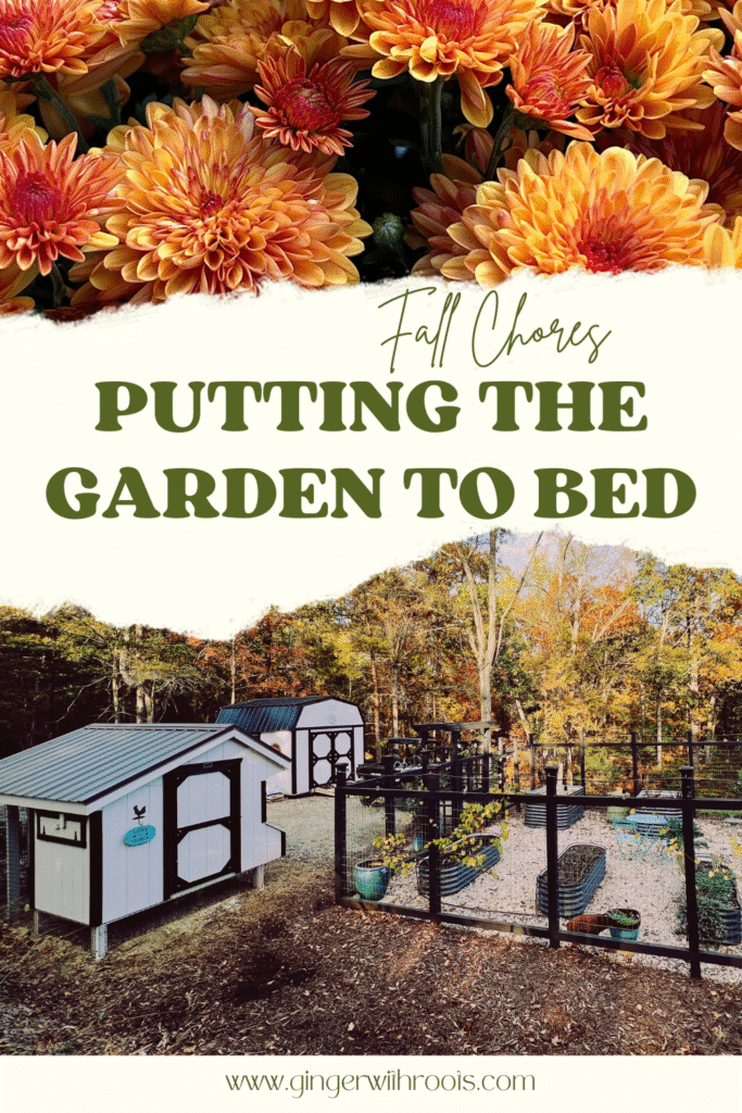 putting gardens to bed pin