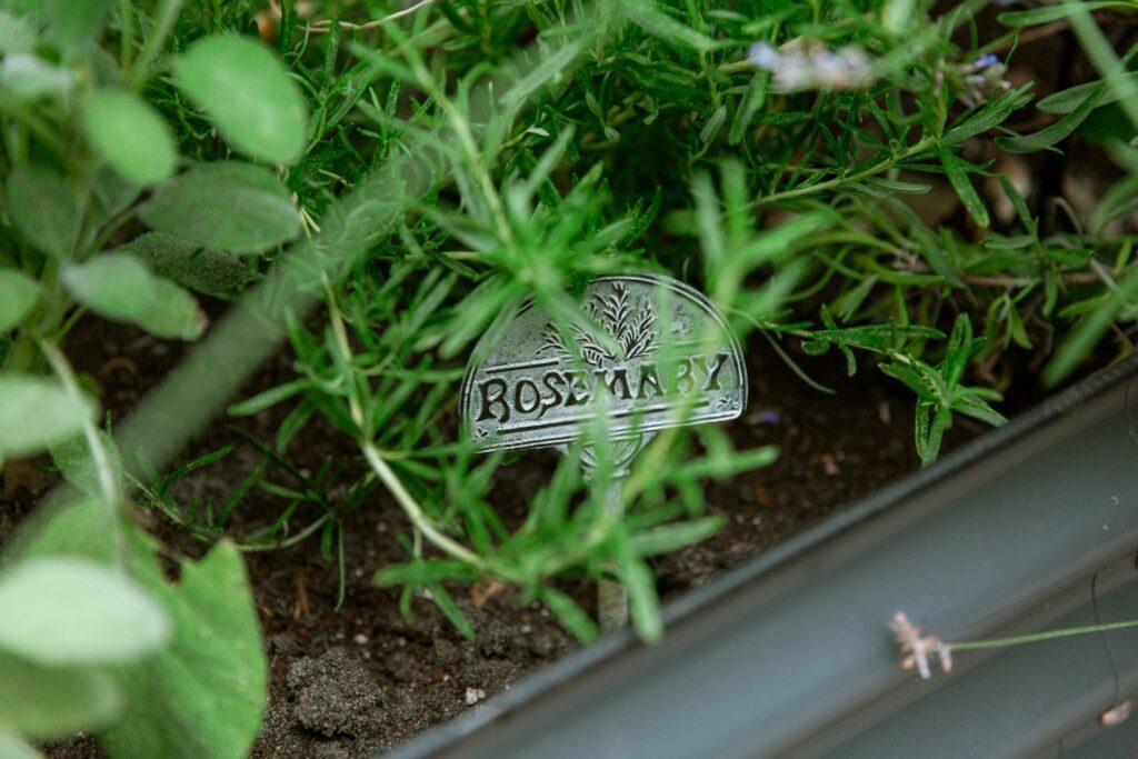 rosemary tag