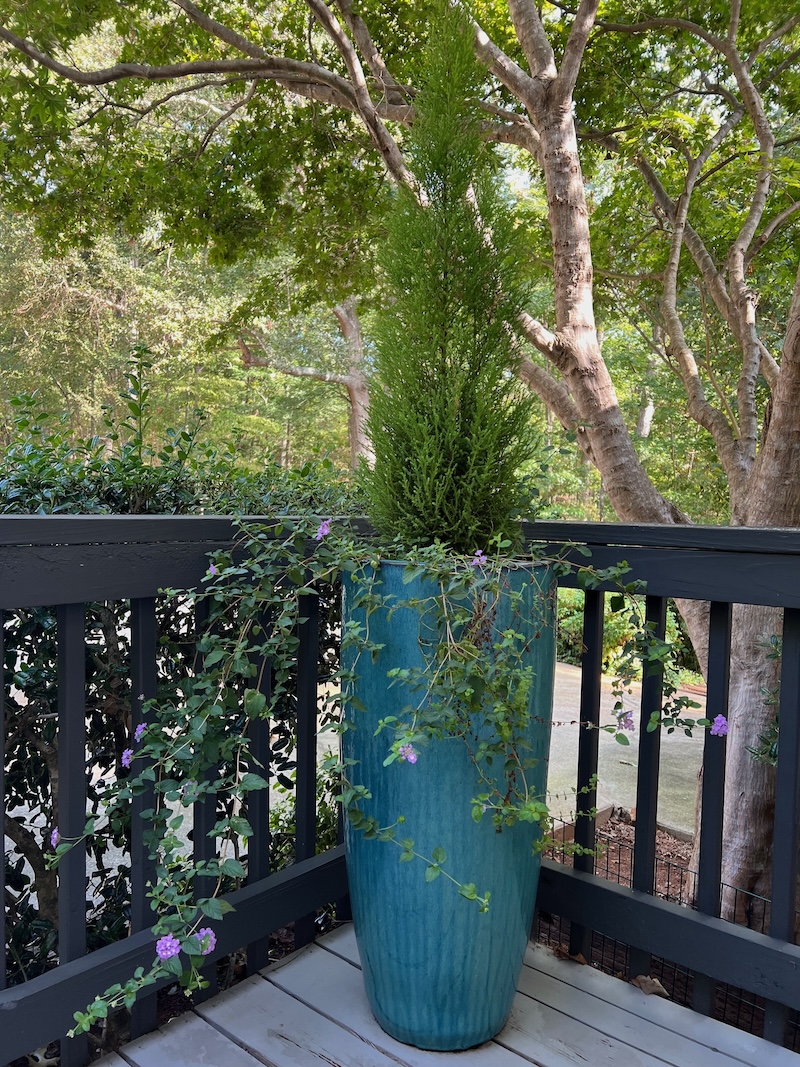 tall planter