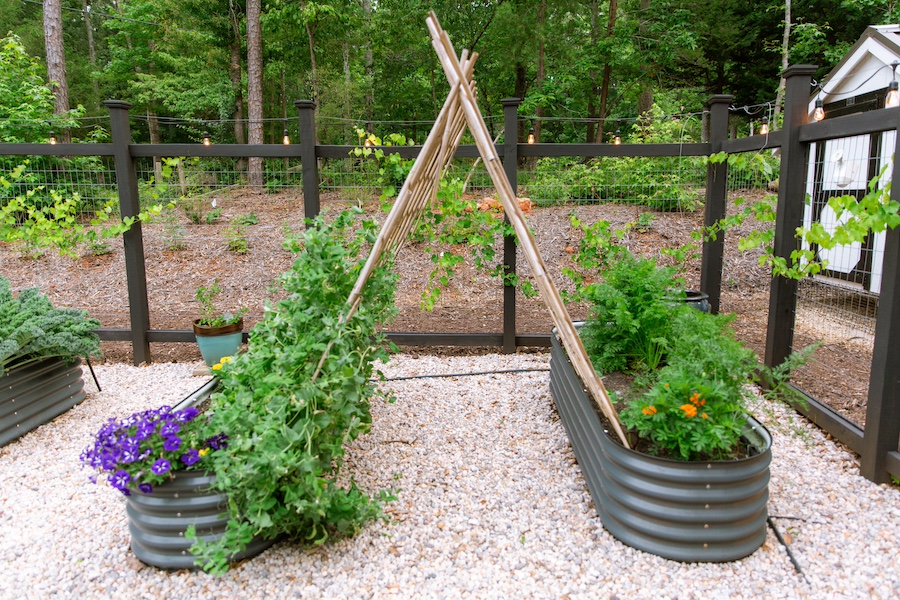 vego raised beds