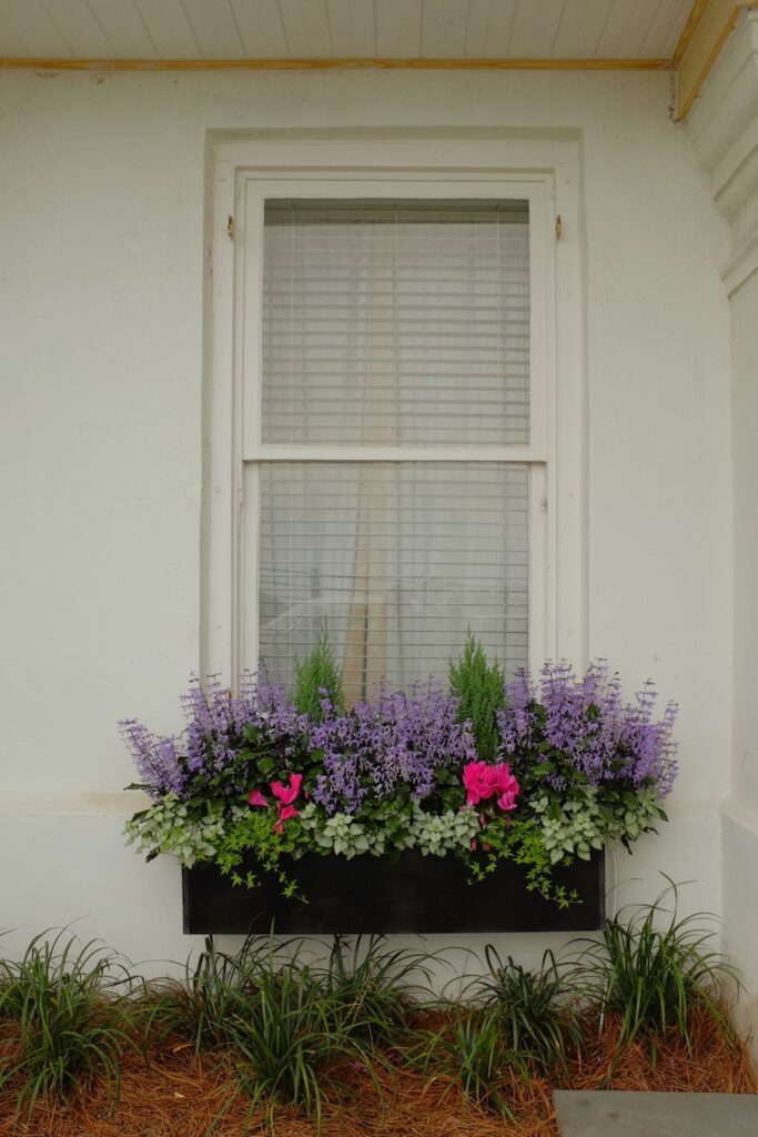 window box purple
