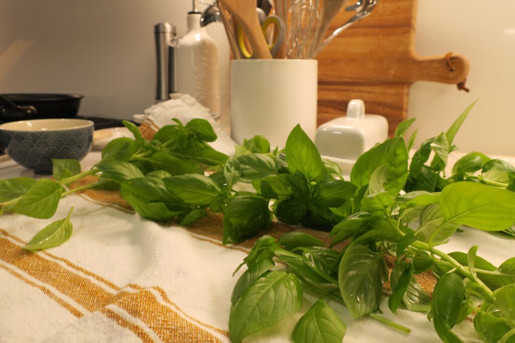 homemade basil pesto before