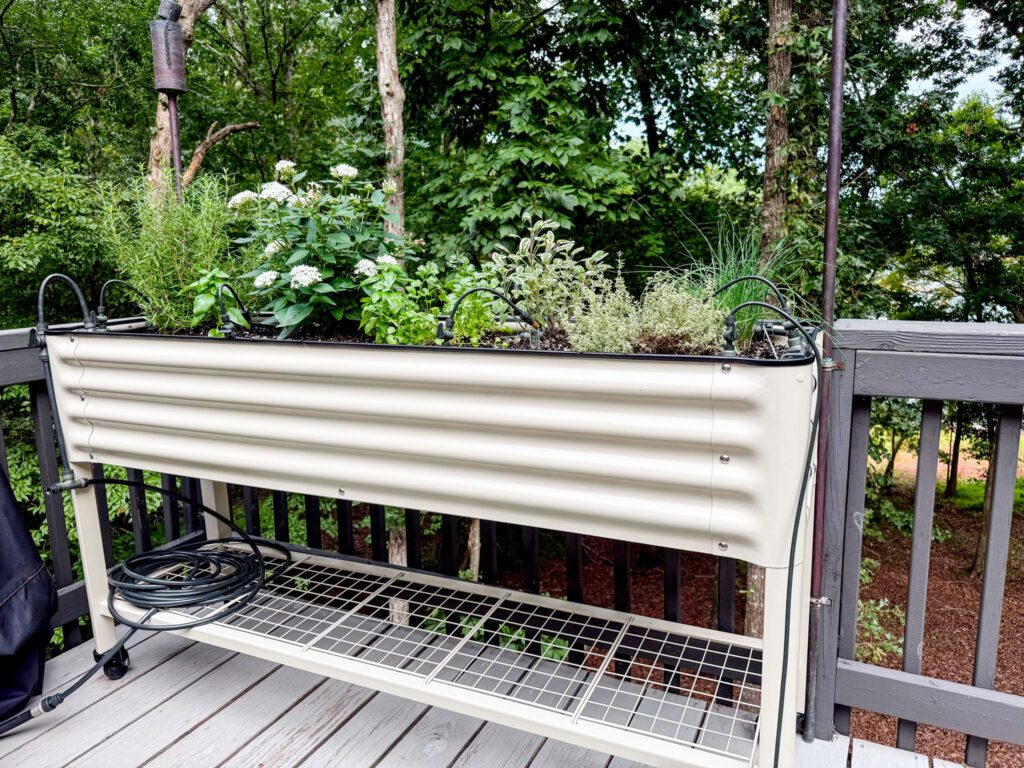 raised bed small balcony garden