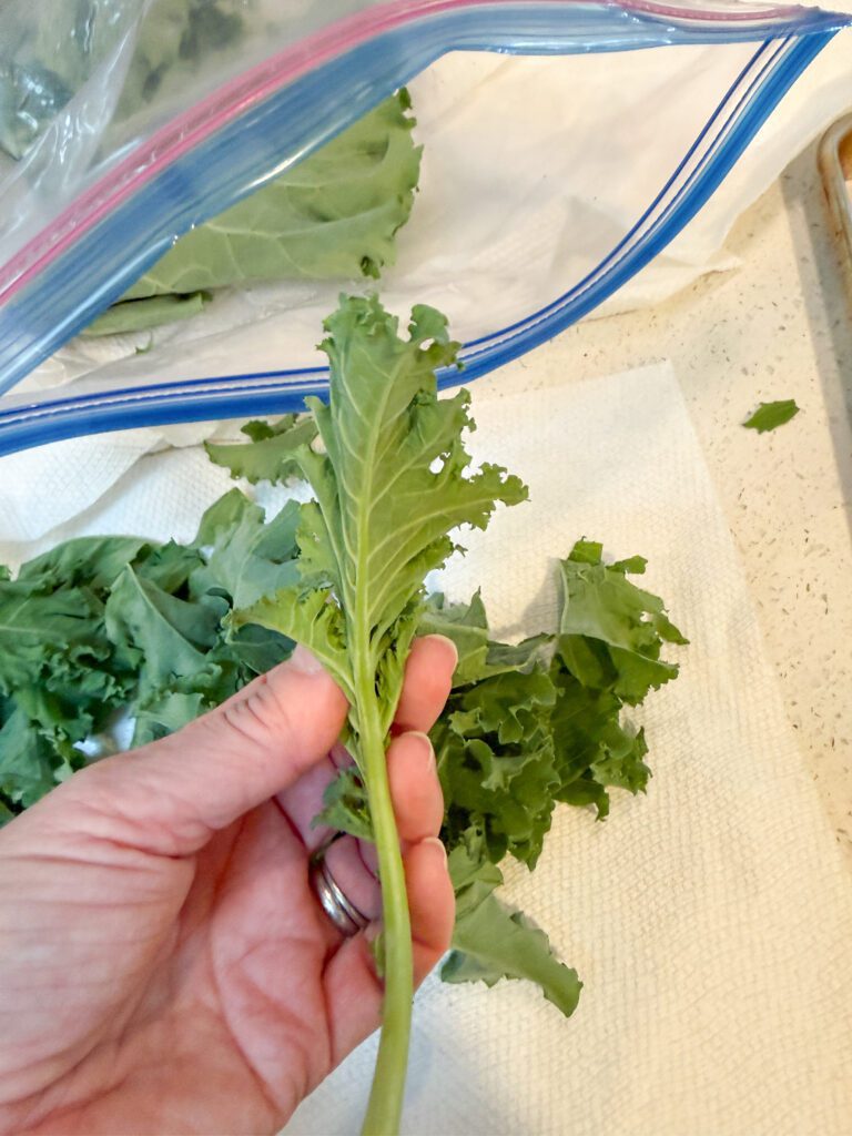 kale chips