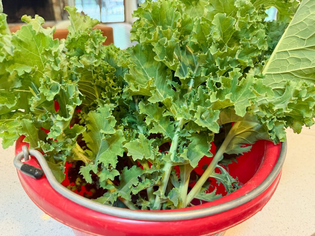 sautéed kale
