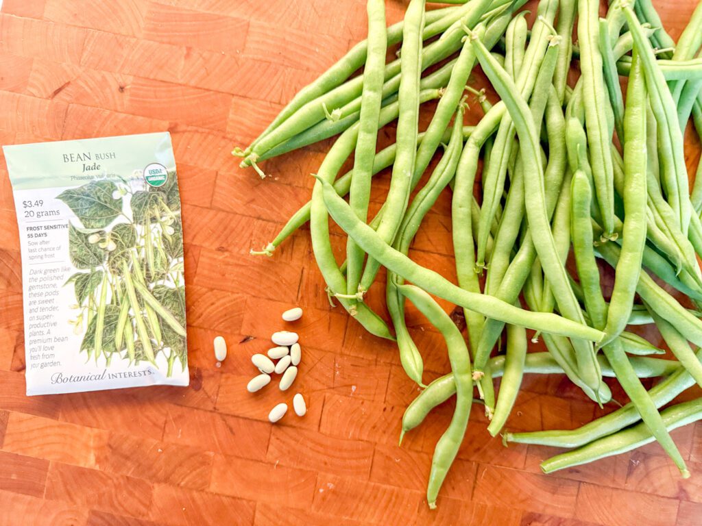 jade bush green beans