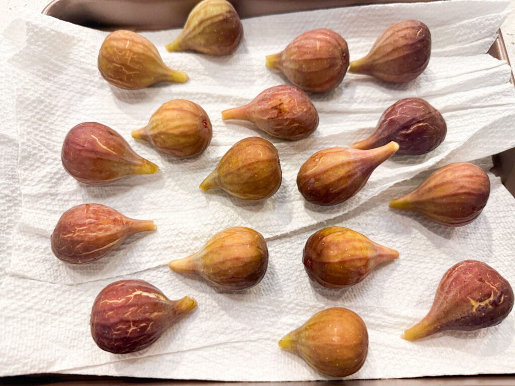 celeste figs harvest