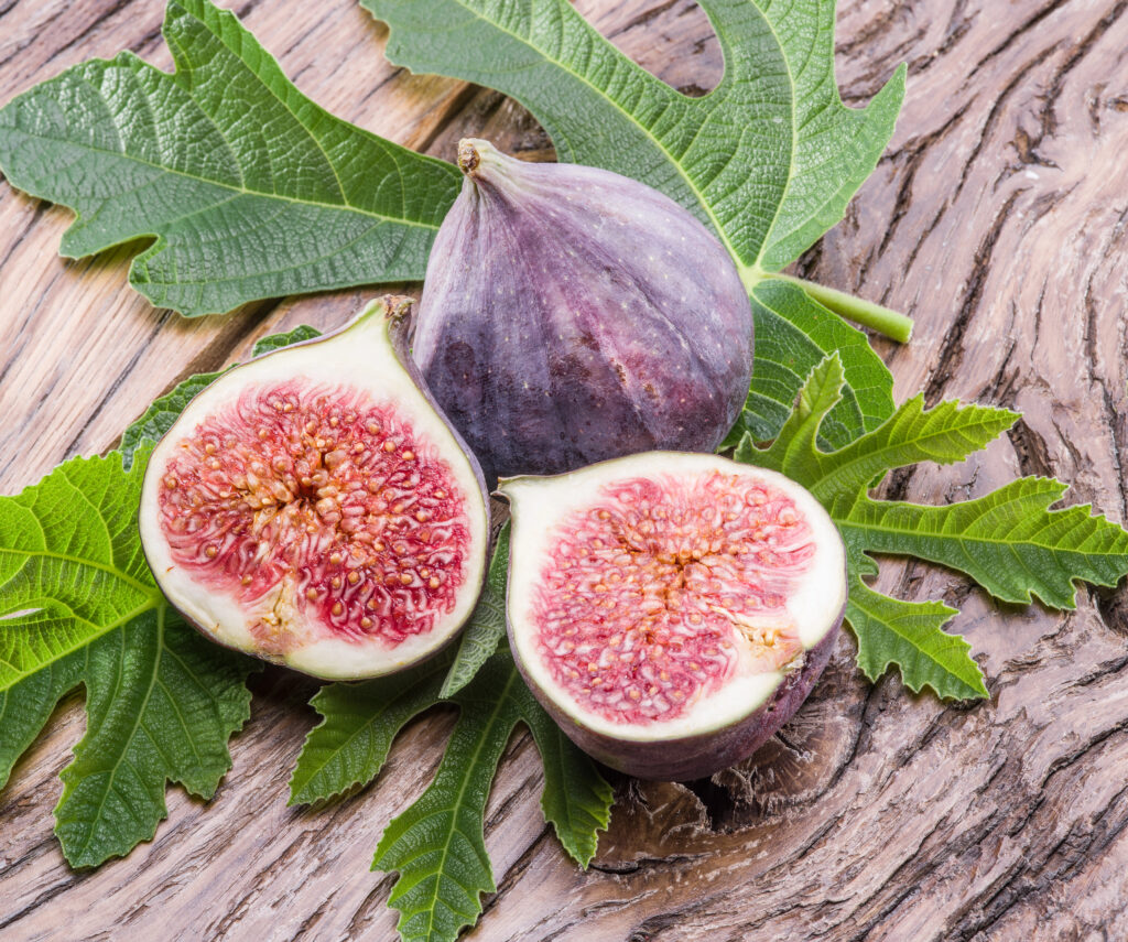 figs and fig leaves