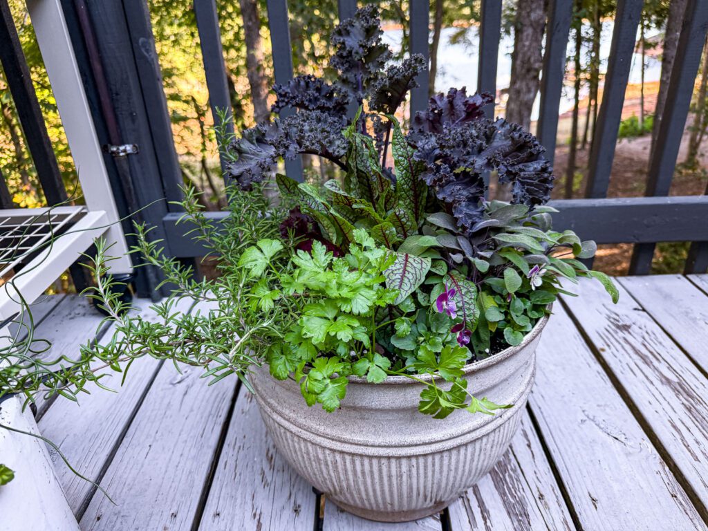 fall container edible