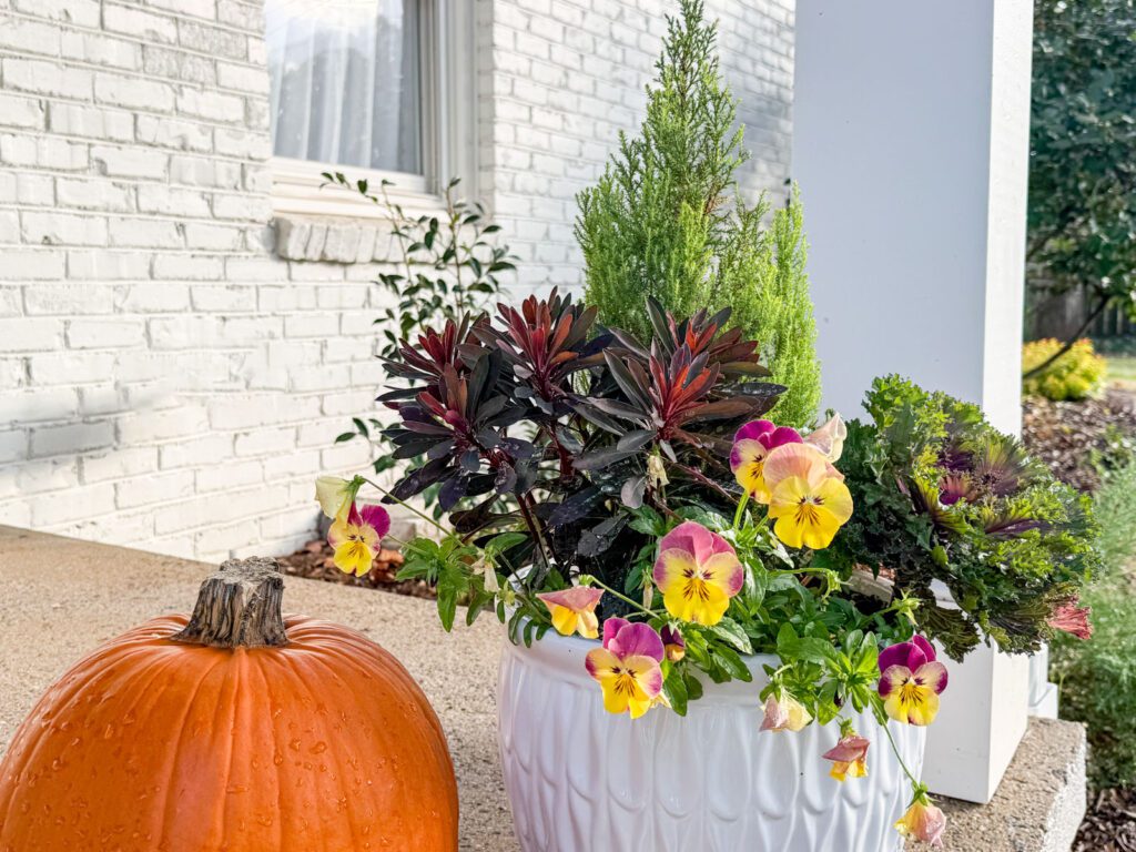 fall container