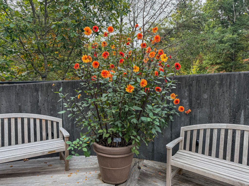 fall container