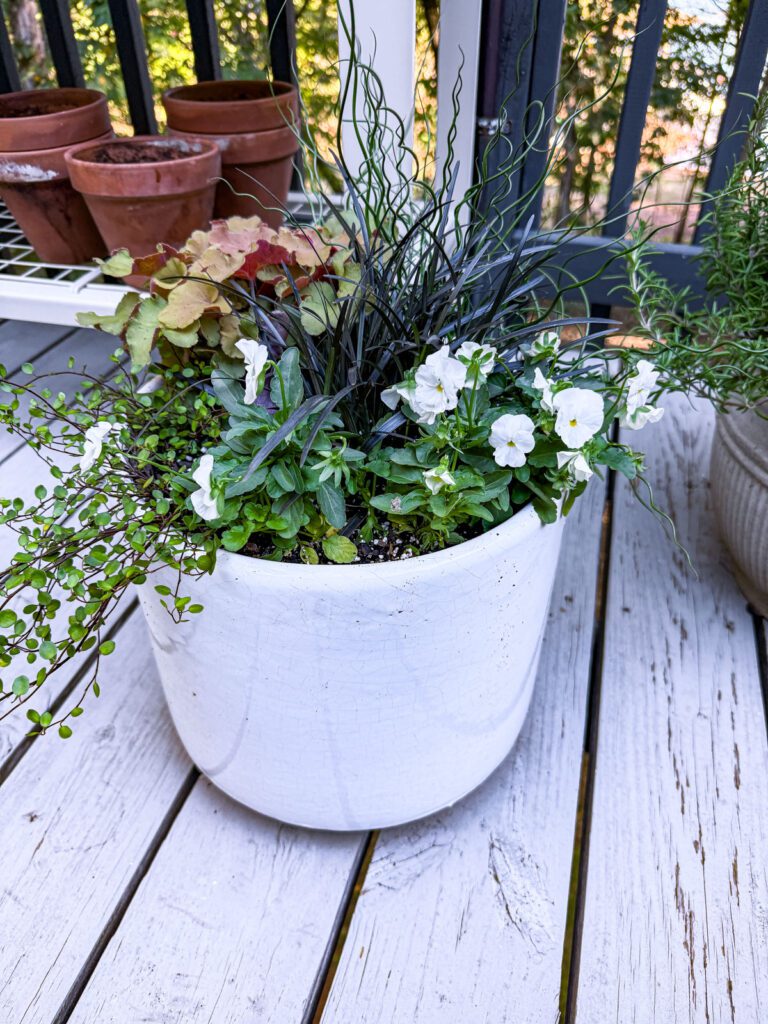 fall container garden ideas