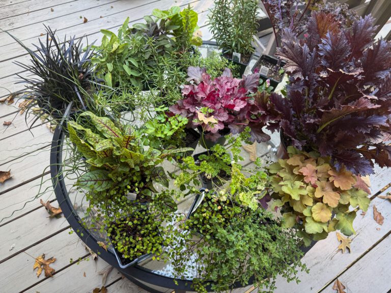 fall container garden ideas